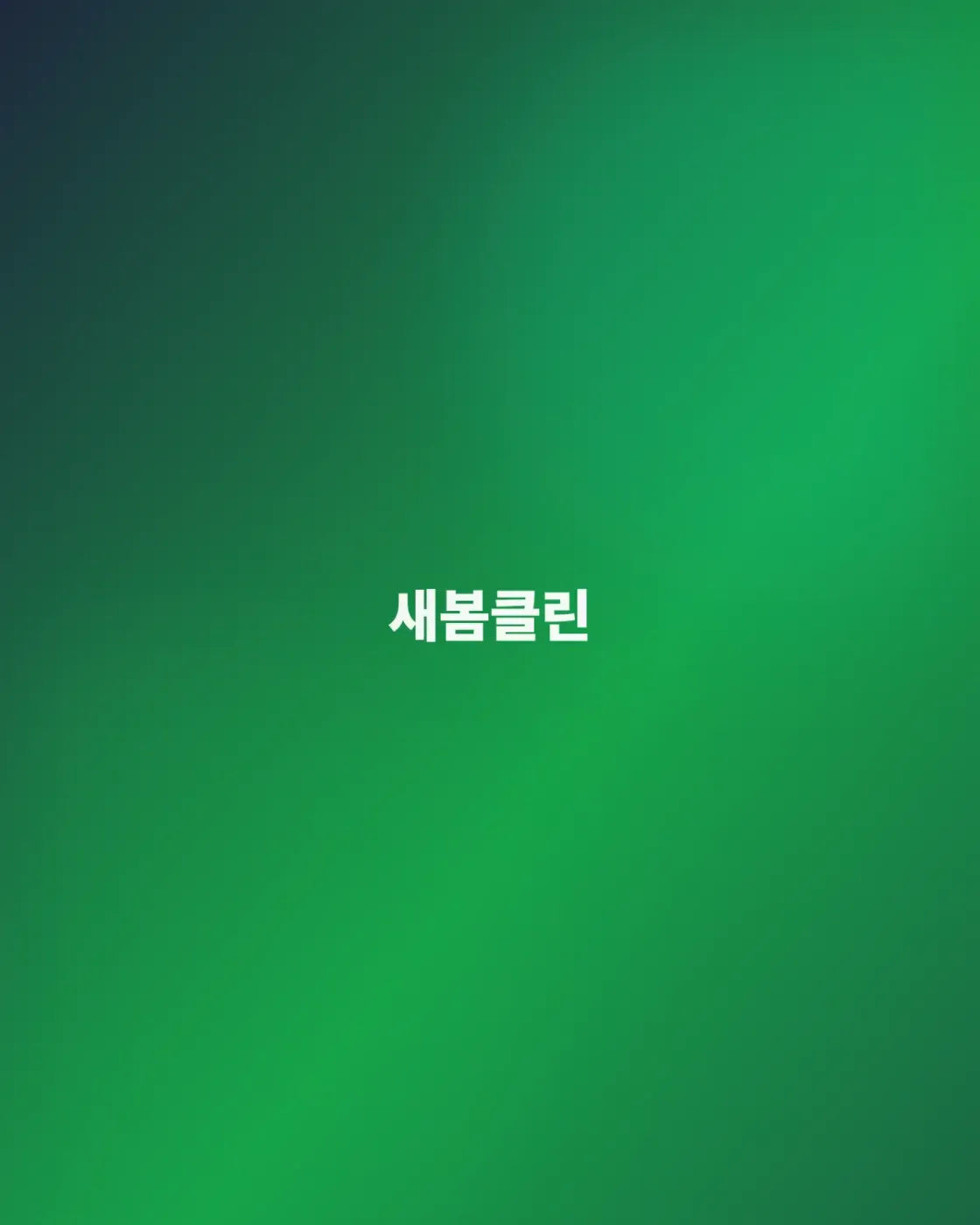 전문 이사청소 서비스